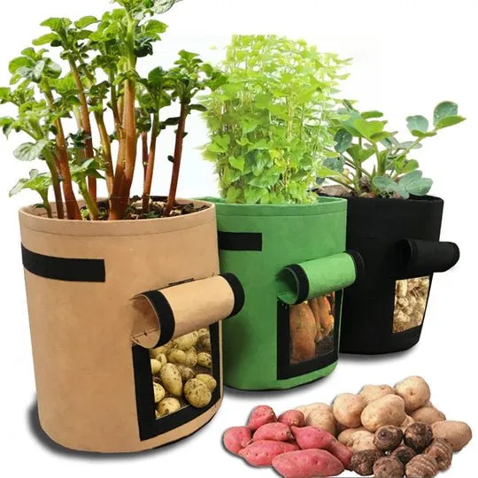 🔥Hot Sale  Tomatoes Potato Grow Bag Fruits Vegetables Planter